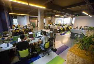 专业seo优化平台