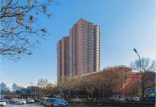 上海质量好的有机稻花香米性价比高