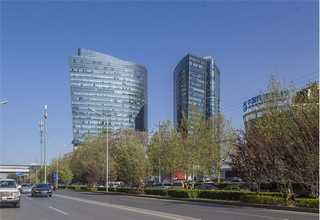 曲靖珠芽魔芋种子合作社